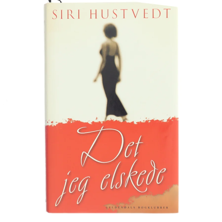 Det jeg elskede af Siri Hustvedt (Bog)