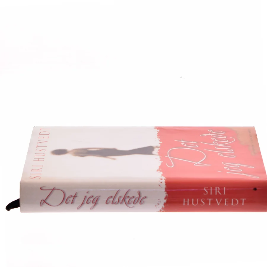 Det jeg elskede af Siri Hustvedt (Bog)