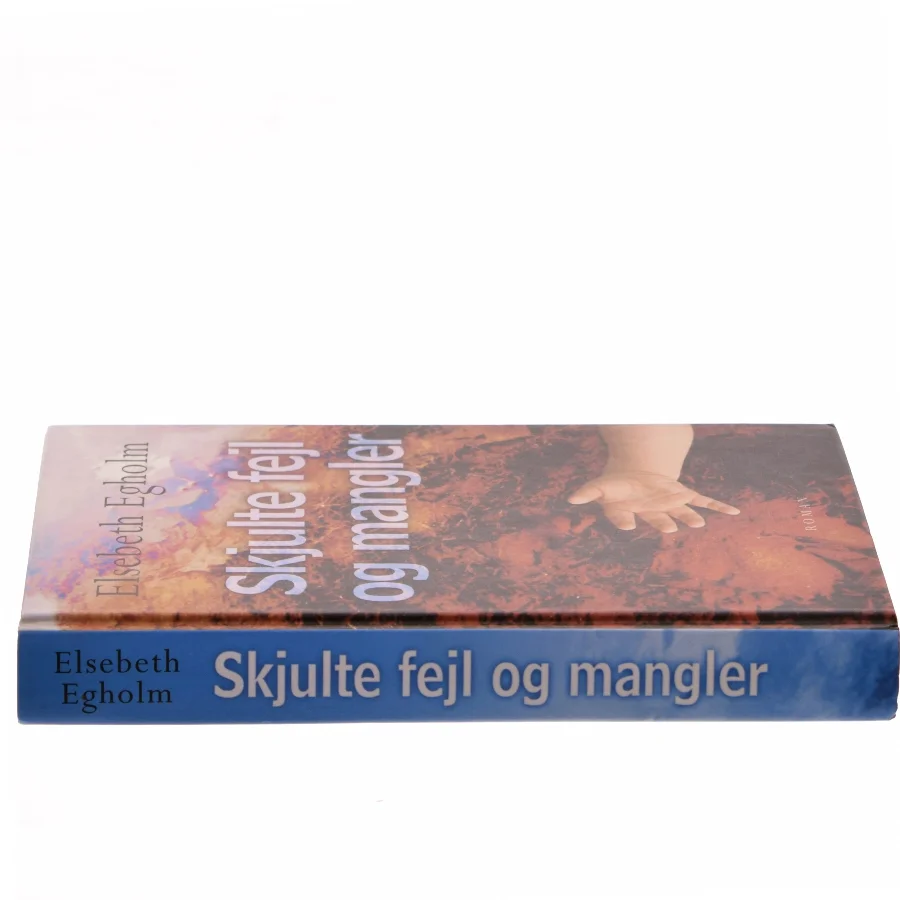 Skjulte fejl og mangler af Elsebeth Egholm (Bog)