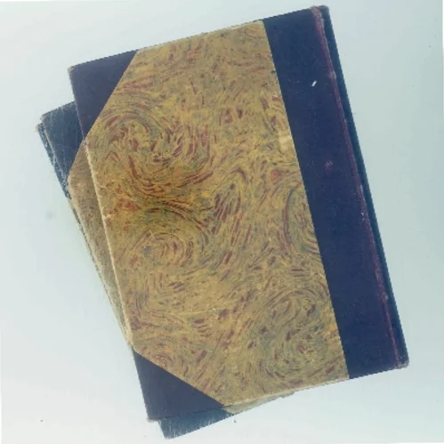 Anna Karenin af Leo Tolstoj (Bog)