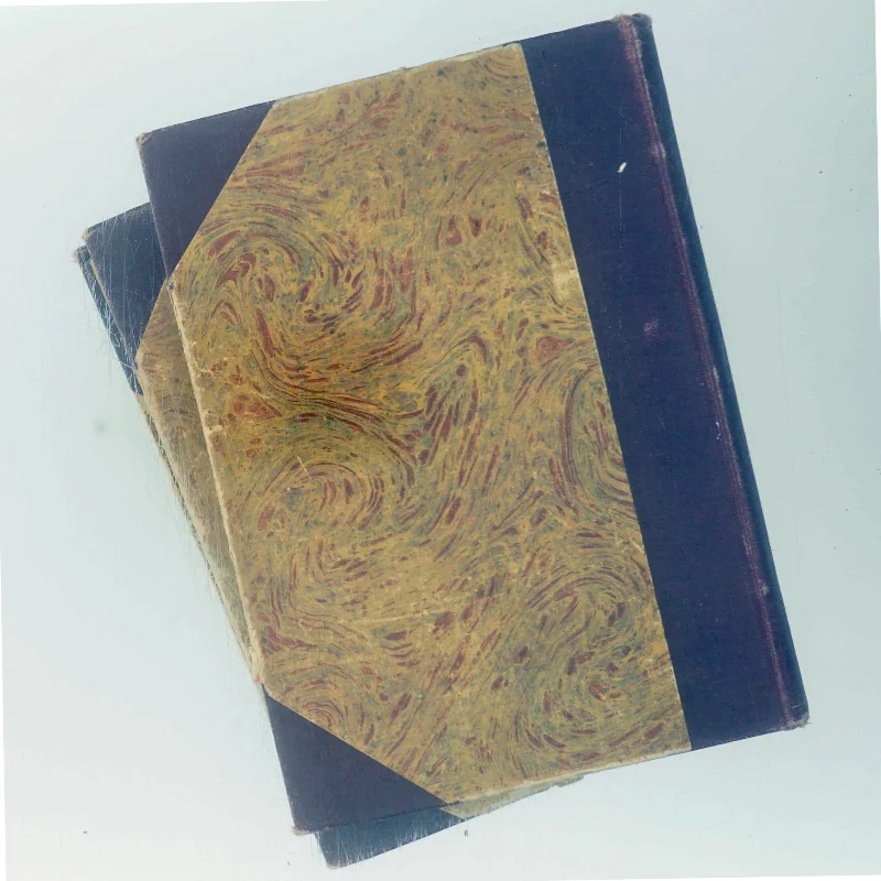 Anna Karenin af Leo Tolstoj (Bog)