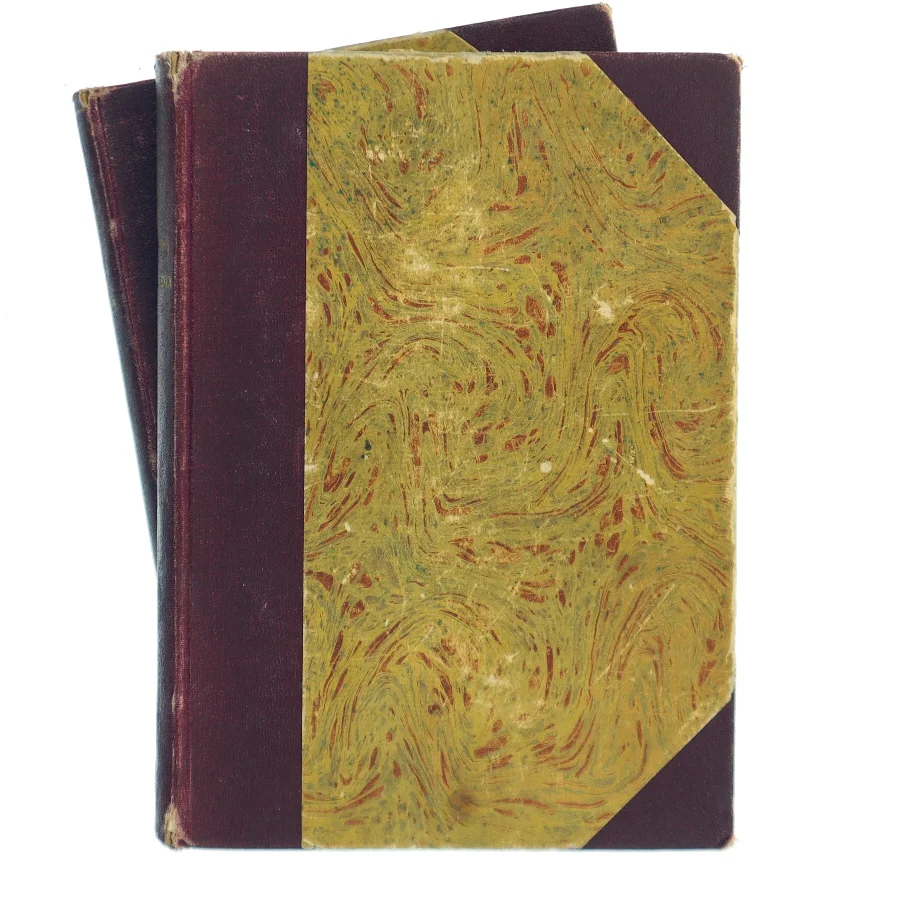 Anna Karenin af Leo Tolstoj (Bog)