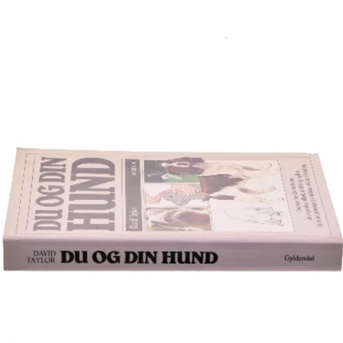 Du og din hund af David Taylor (Bog)