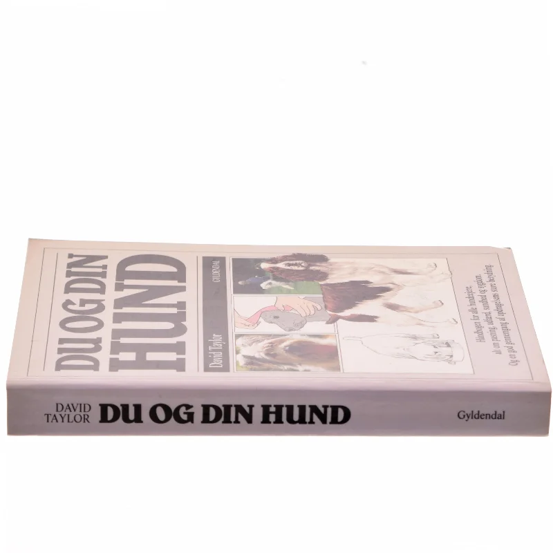Du og din hund af David Taylor (Bog)