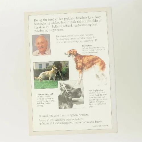 Du og din hund af David Taylor (Bog)