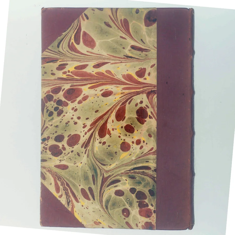 De Ubesejrede af Ernest Hemingway (Bog)