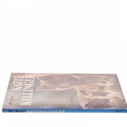 Katte Killinger (Bog)