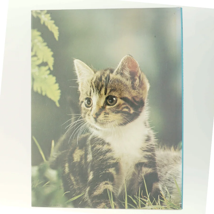 Katte Killinger (Bog)