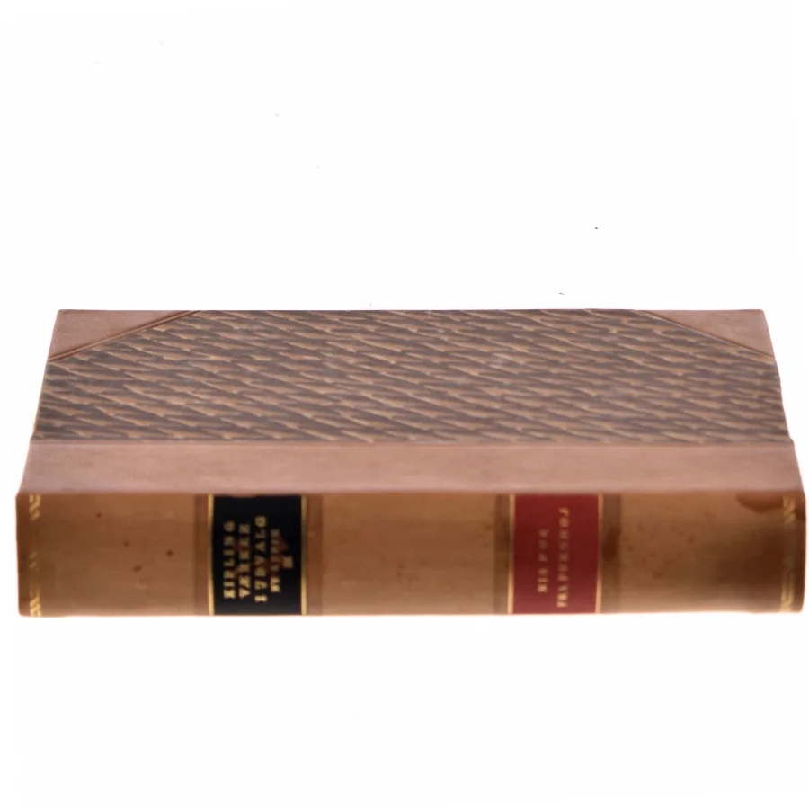Nis Puk fra Pukshøj af Rudyard Kipling (Bog)