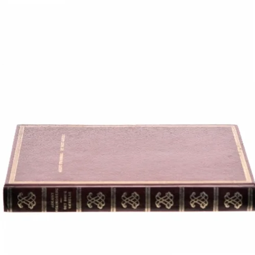 Det røde værelse af August Strindberg (Bog)