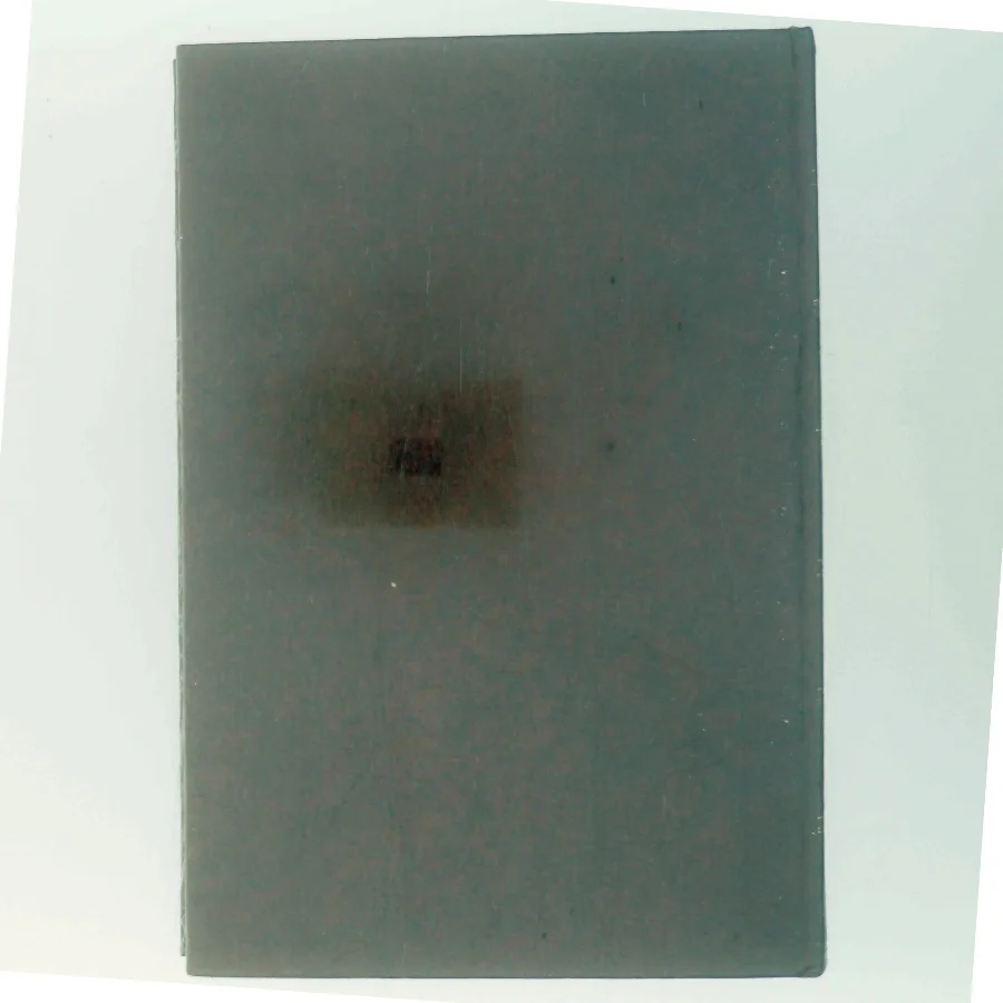 Det røde værelse af August Strindberg (Bog)