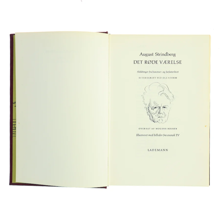 Det røde værelse af August Strindberg (Bog)