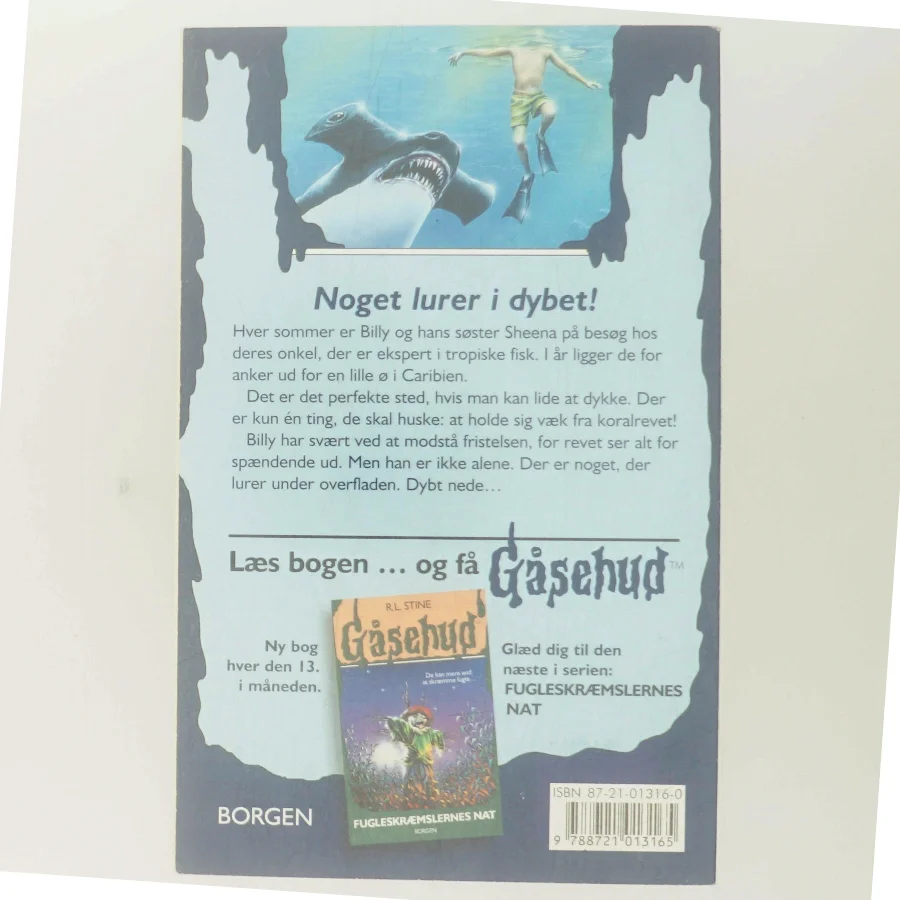 Døden i dybet af R. L. Stine (Bog)