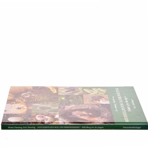 Naturskolens bog om frøspredning - billedbog for de yngste (Bog)