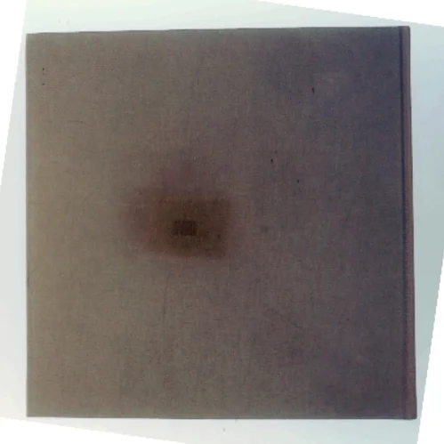 Den Store Blærerøv (Bog)