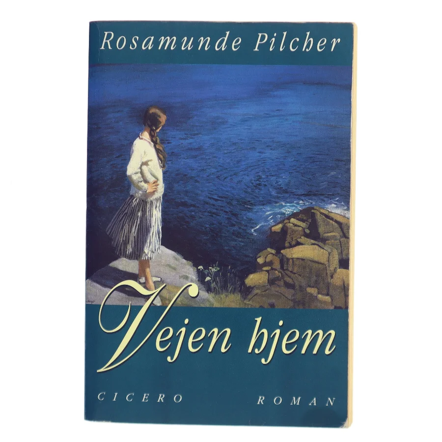 Vejen hjem af Rosamunde Pilcher (Bog)