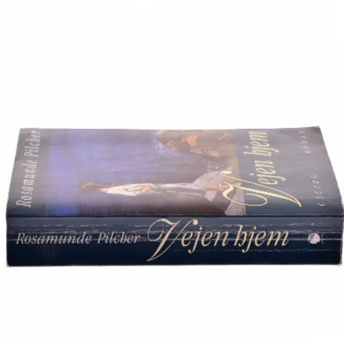 Vejen hjem af Rosamunde Pilcher (Bog)