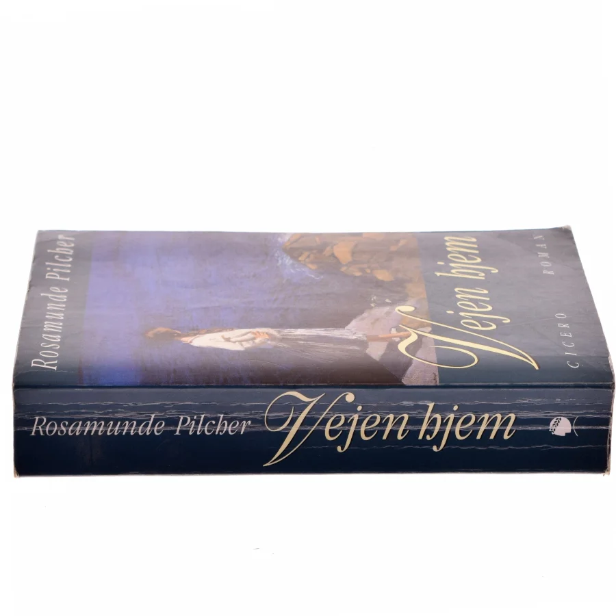 Vejen hjem af Rosamunde Pilcher (Bog)