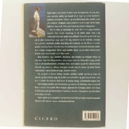 Vejen hjem af Rosamunde Pilcher (Bog)