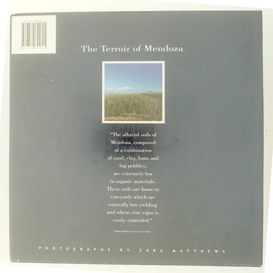 Mendoza af Sara Matthews (Bog)