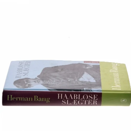 Håbløse Slægter af Herman Bang (Bog)