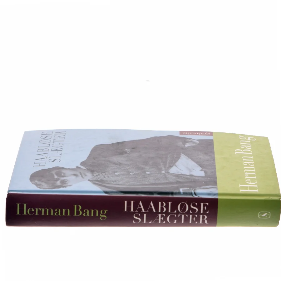 Håbløse Slægter af Herman Bang (Bog)