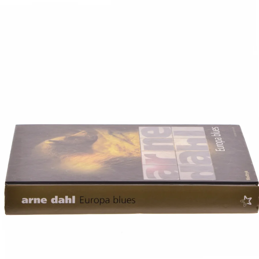 Europa blues af Arne Dahl (f. 1963) (Bog)