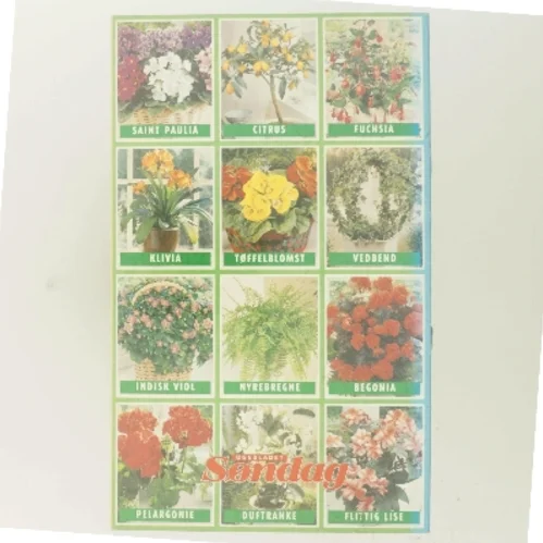 100 stueplanter – Dit bedste plante-leksikon af Ugebladet Søndag (Bog)