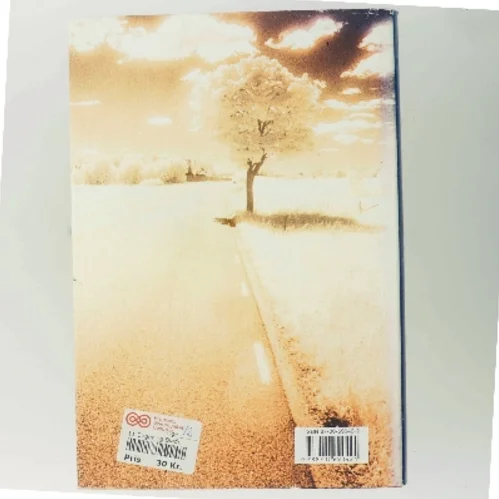 Lewis rejse : roman af Per Olov Enquist (Bog)