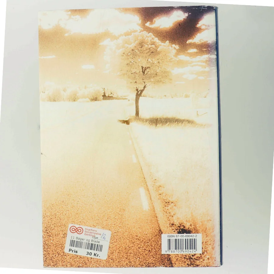 Lewis rejse : roman af Per Olov Enquist (Bog)