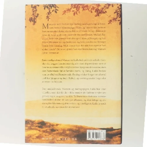 Under en strålende sol af Khaled Hosseini (Bog)