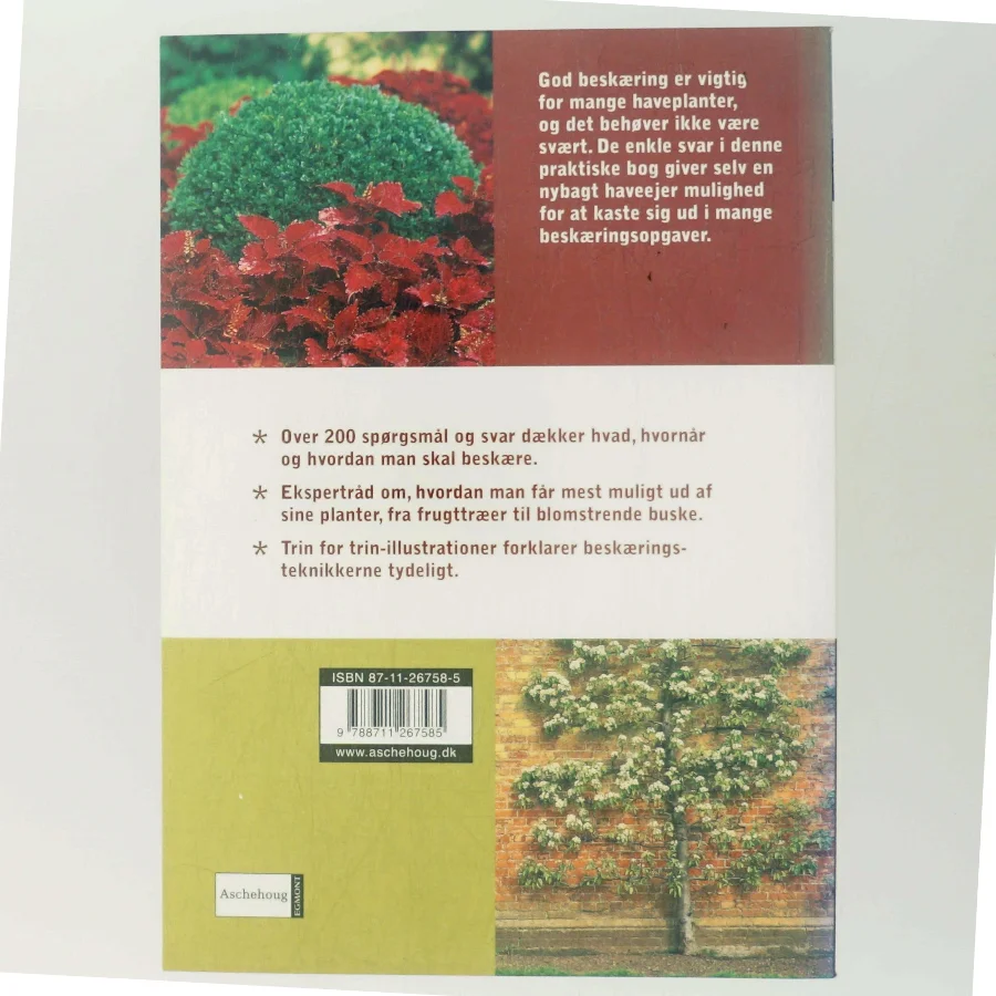 Beskæring : ekspertsvar på alle spørgsmål af Richard Bird (Bog)