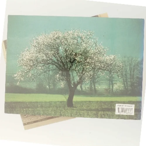 Provencalsk mosaik af Jacques Berg (Bog)