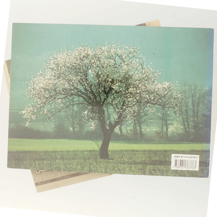 Provencalsk mosaik af Jacques Berg (Bog)