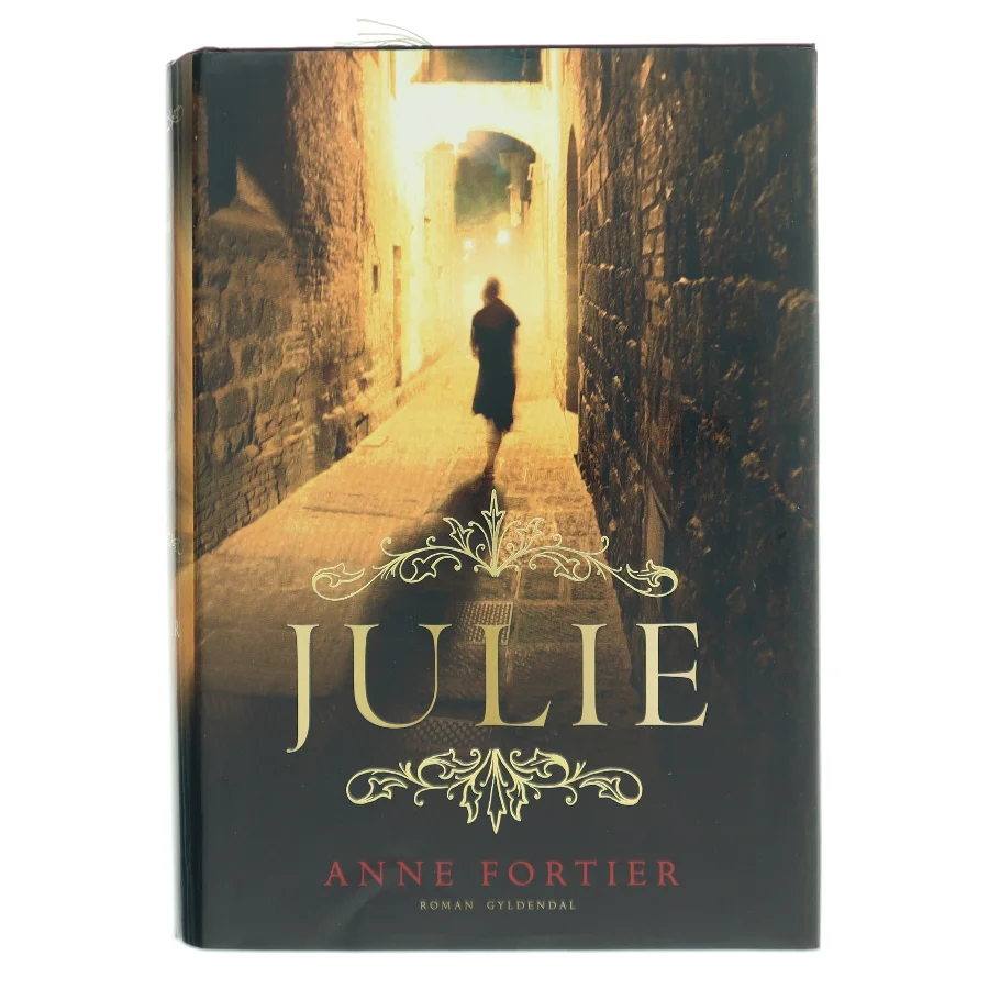 Julie : en roman (Klassesæt) af Anne Fortier (Bog)