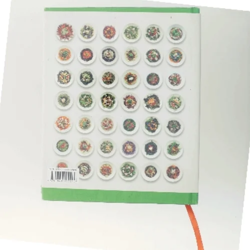 Salad love : how to create a lunchtime salad, every weekday, in 20 minutes or less af David Bez (Bog)