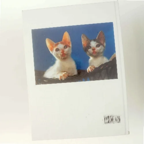 Kittens af Marcus Schneck (Bog)