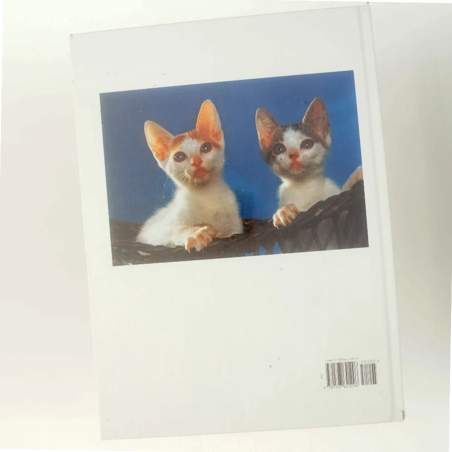 Kittens af Marcus Schneck (Bog)