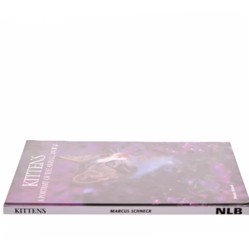 Kittens af Marcus Schneck (Bog)