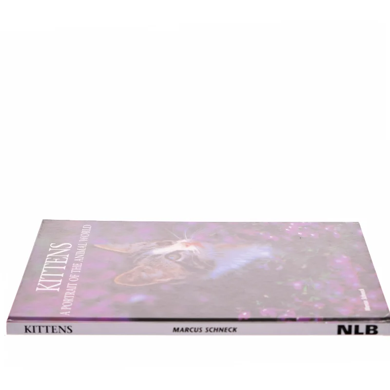 Kittens af Marcus Schneck (Bog)