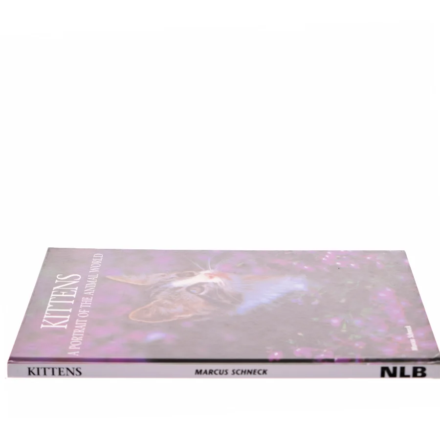 Kittens af Marcus Schneck (Bog)