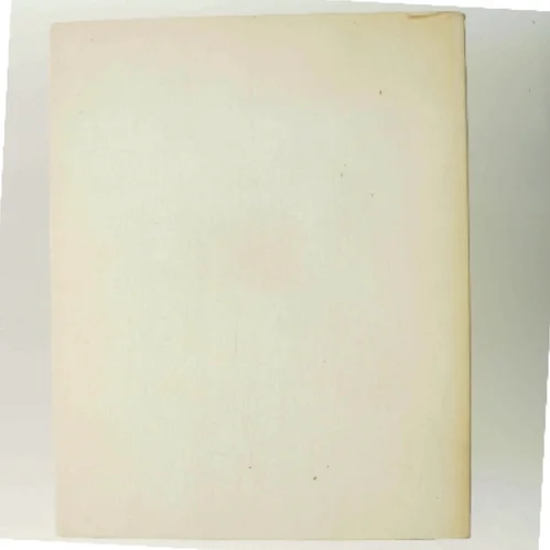 Den store bandit af Leif Panduro (Bog)