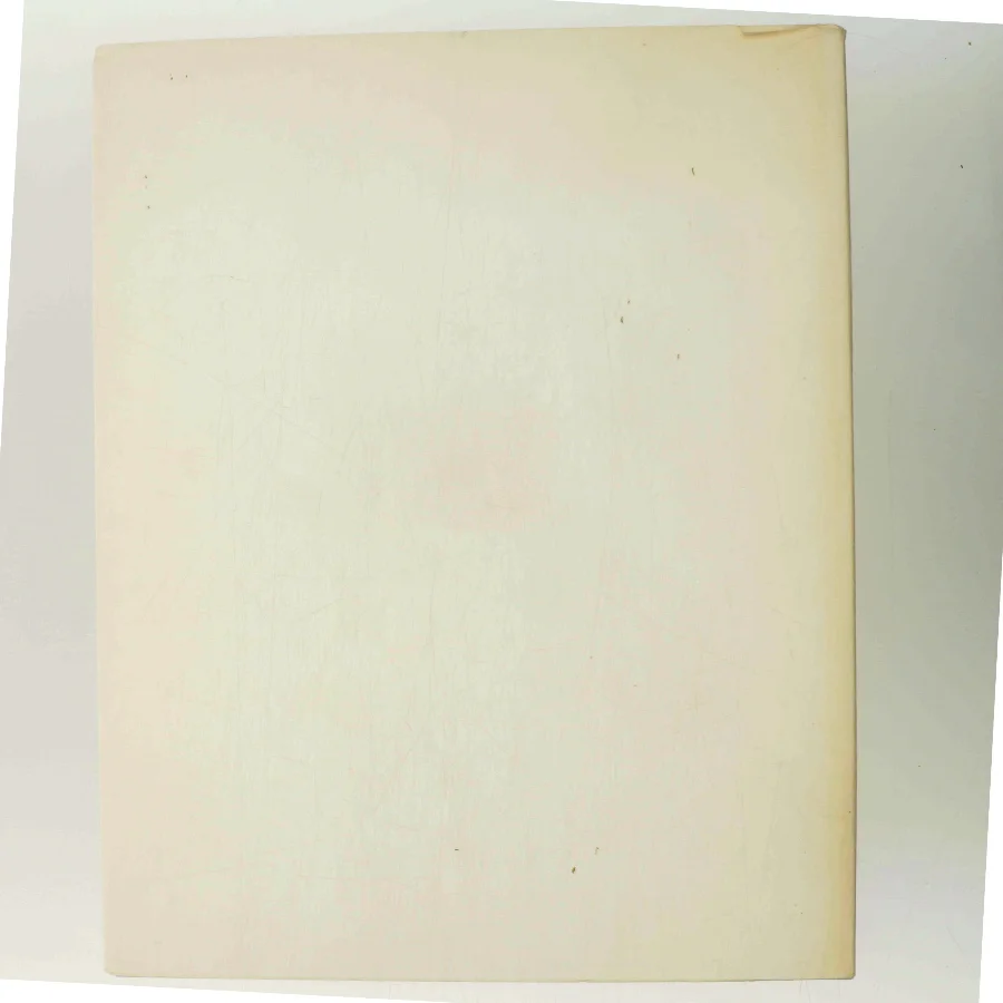 Den store bandit af Leif Panduro (Bog)