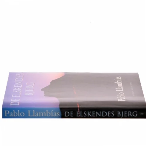 De Elskendes Bjerg af Pablo Llambías (Bog)
