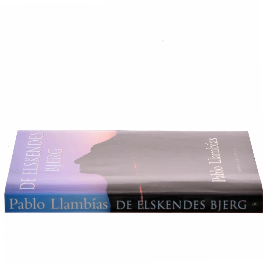 De Elskendes Bjerg af Pablo Llambías (Bog)
