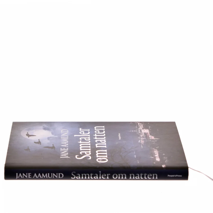 Samtaler om natten af Jane Aamund (Bog)