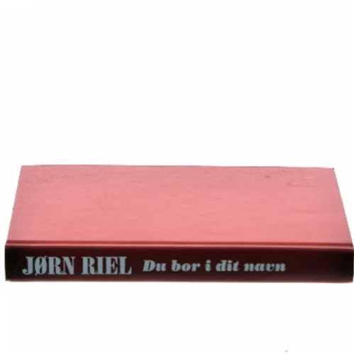 Du bor i dit navn af Jørn Riel (Bog)