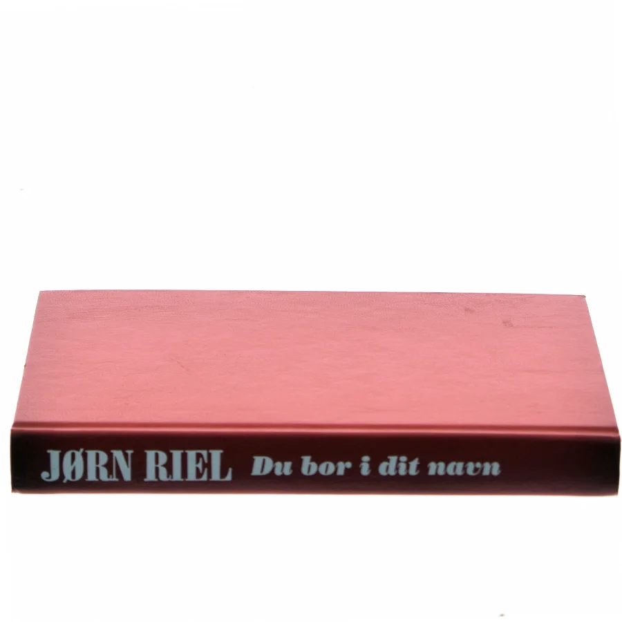 Du bor i dit navn af Jørn Riel (Bog)
