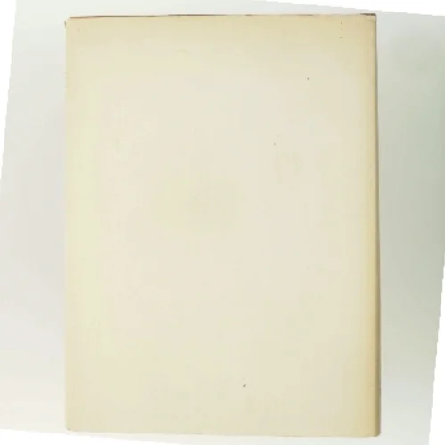 Moderne dansk Maleri af Jan Zibrandtsen (Bog)