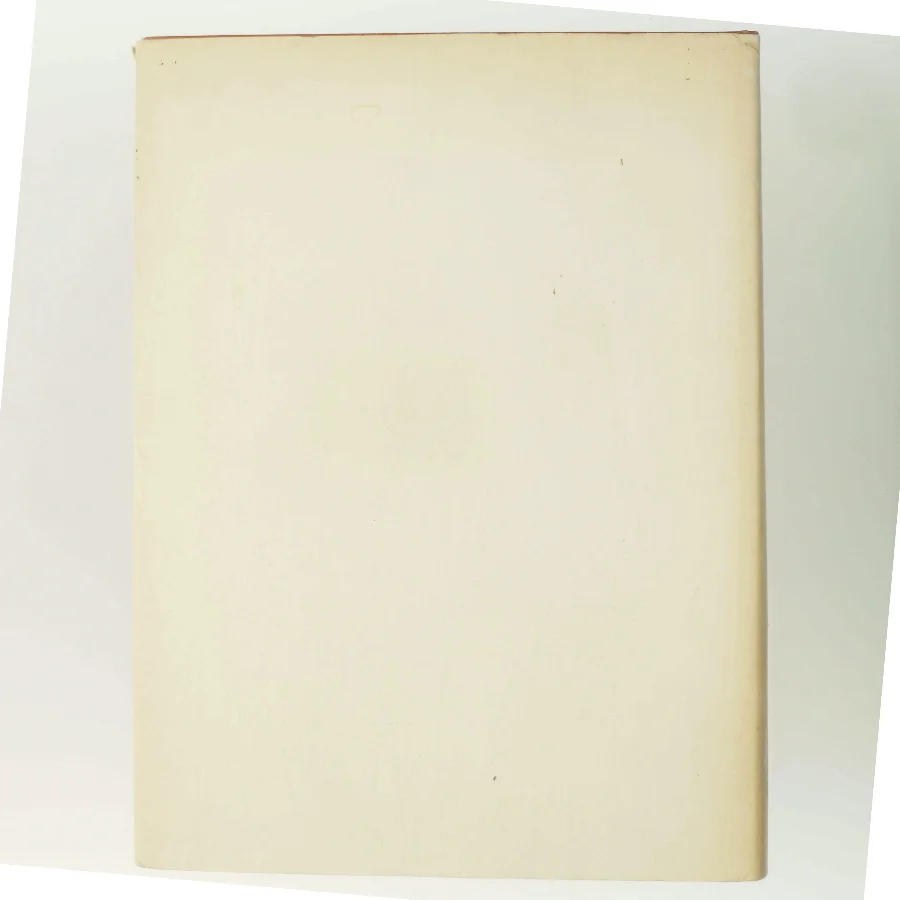 Moderne dansk Maleri af Jan Zibrandtsen (Bog)